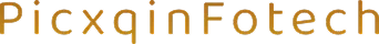 PicxqinFotech logo